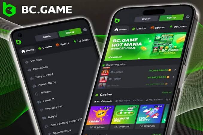 Unlocking the Excitement BC.Game Bonuses and Promo Codes